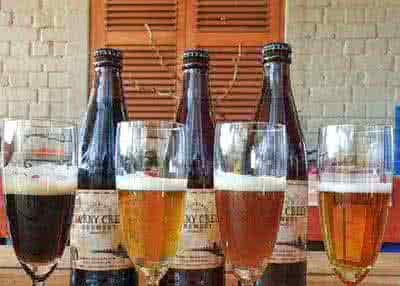 Craft Beer and Artisan Cheese Pairing