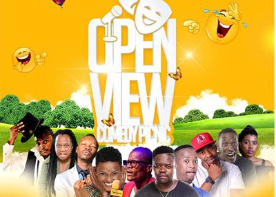 Open View Comedy Picnic