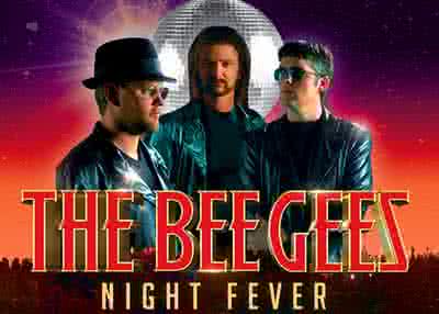 The Bee Gees Night Fever