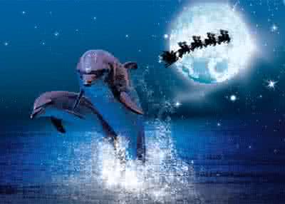 Dolphins by Starlight