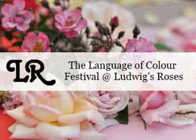 Language of Colour @ Ludwig`s Roses